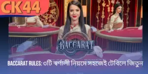Baccarat rules - ৩টি স্বর্ণালী নিয়মে সহজেই টেবিলে জিতুন