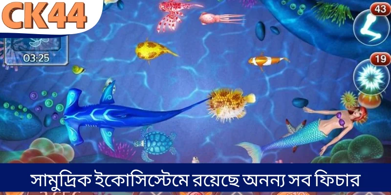 সামুদ্রিক ইকোসিস্টেমে রয়েছে অনন্য সব ফিচার